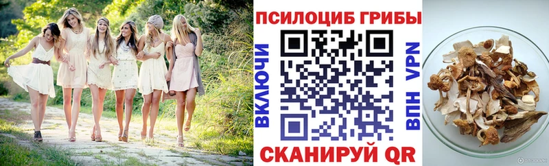 купить   даркнет наркотические препараты  Галлюциногенные грибы Psilocybine cubensis  Конаково 